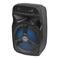 בידורית 6 אינץ' 800W עם מיקרופון DM-3006 Dome