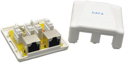 שקע עצמאי CAT6 לרשת 2 פורטים כולל הדבקה