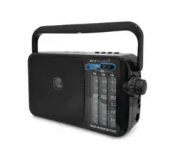 רדיו נייד AM / FM עם סוללה נטענת pure acoustics RD-35