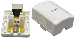 שקע עצמאי CAT6 לרשת כולל הדבקה