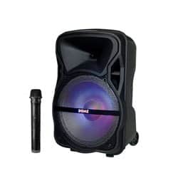 בידורית 12 אינץ' 1000W עם מיקרופון אלחוטי DM-125 Dome